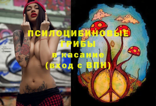 эйфоретик Алзамай