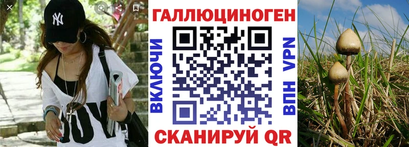 Галлюциногенные грибы мицелий  что такое   Карачев 